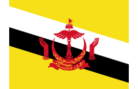 Brunei Darussalam -  1GB/ 7 Days