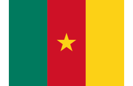 Cameroon -  1GB/ 7 Days