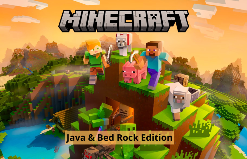 Minecraft Java & Bed Rock Edition