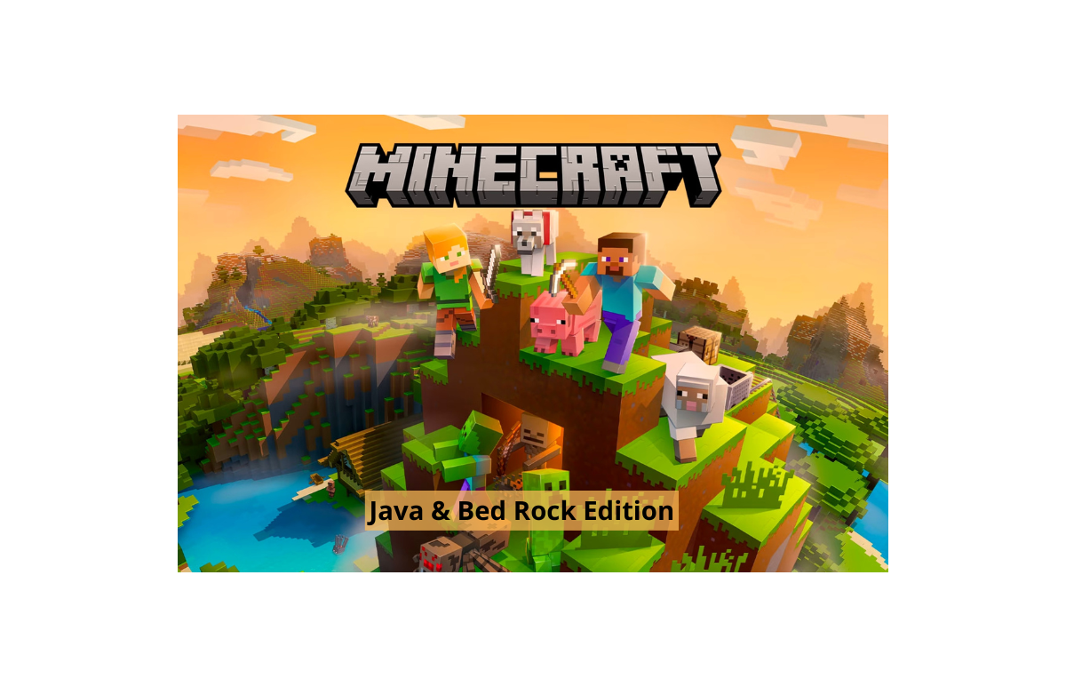 Minecraft Java & Bed Rock Edition